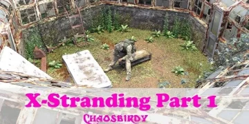 Chaosbirdy - X-Stranding
